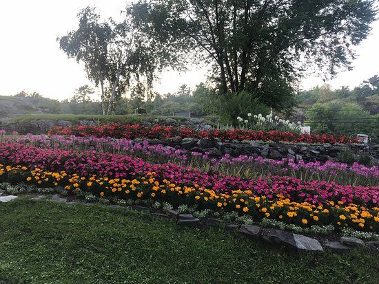 Tug Boat McLeod Park